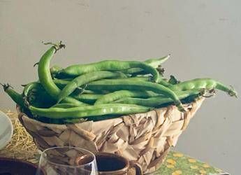 1 maggio, fave e pecorino alla scampagnata? Mix ideale per la salute: ecco perché
