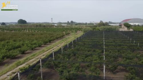 Caserta, frodi in finanziamenti Ue. 12 arresti e sequestri per 9,5 mln