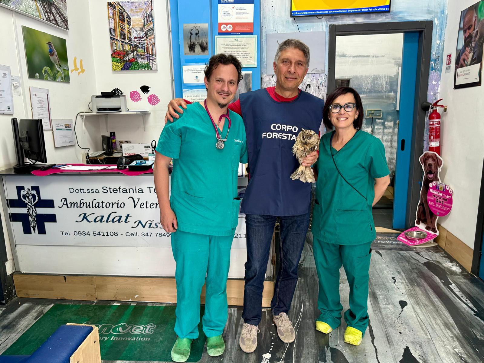 Delia. Ritrovato gufo ferito: il sindaco lo salva e l’animale viene preso in custodia nel Centro Recupero Fauna Selvatica di Ficuzza