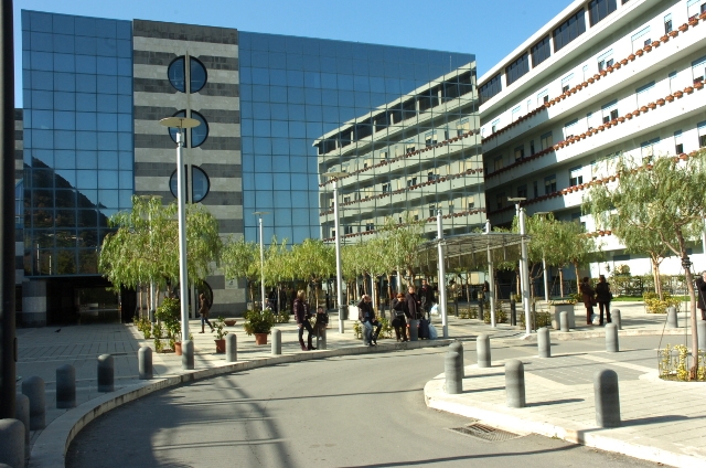 La Fondazione Giglio di Cefalù all’avanguardia in tema di tumore al seno: nel 2024 eseguiti 205 interventi