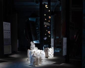 Alla Biennale Architettura ‘Sea Oasis’, il mare diventa creatività