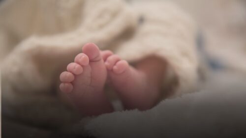 Caltanissetta. Bonus Figlio 2025: prorogati i termini per presentare la domanda