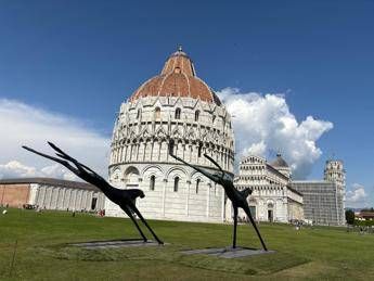 Due cavalli volanti ‘atterrano’ in Piazza dei Miracoli