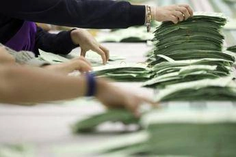 Elezioni in Australia, media: hanno vinto i Laburisti