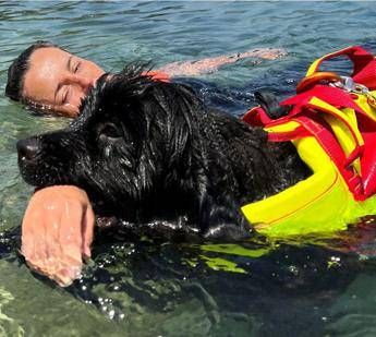 Estate, Sics: “300 cani salvataggio pronti per le accademie e i corsi internazionali”