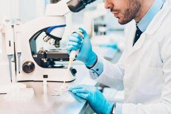 Eurispes: “Salgono italiani a favore della fecondazione eterologa, quasi 60%”