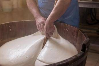 Festival dell’Economia di Trento, mozzarella bufala campana Dop in cattedra tra talk e laboratori con Trentingrana