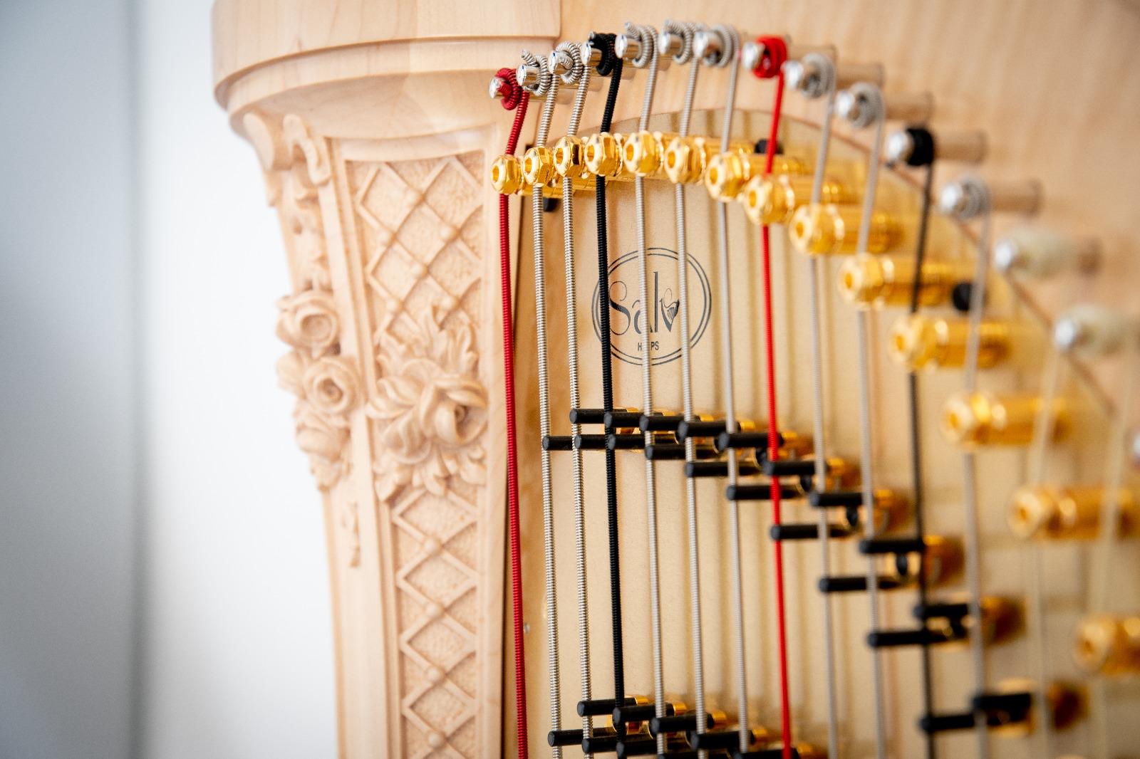 Caltanissetta. Il 30 e il 31 maggio l’Orchestra da Camera del Conservatorio “V. Bellini” in concerto in Slovenia e in Croazia