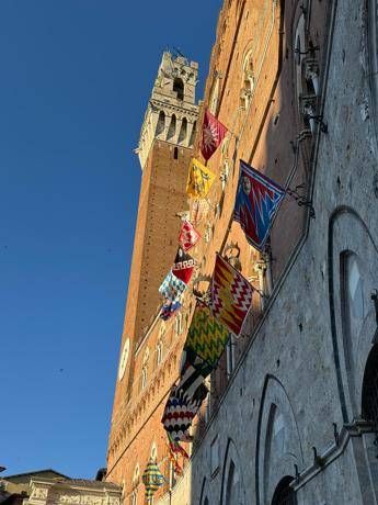 Palio di Siena, estratte Lupa, Oca, Bruco, Valdimontone e Pantera