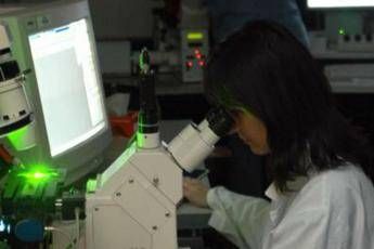 Sclerosi multipla, 78% pazienti insoddisfatto di assistenza e riabilitazione