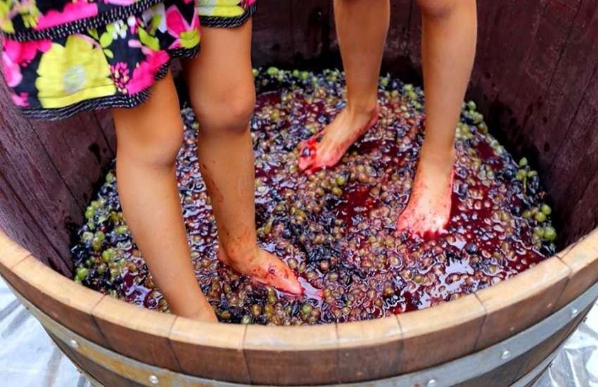 Turismo esperienziale, la Regione proroga i termini per richiedere i contributi