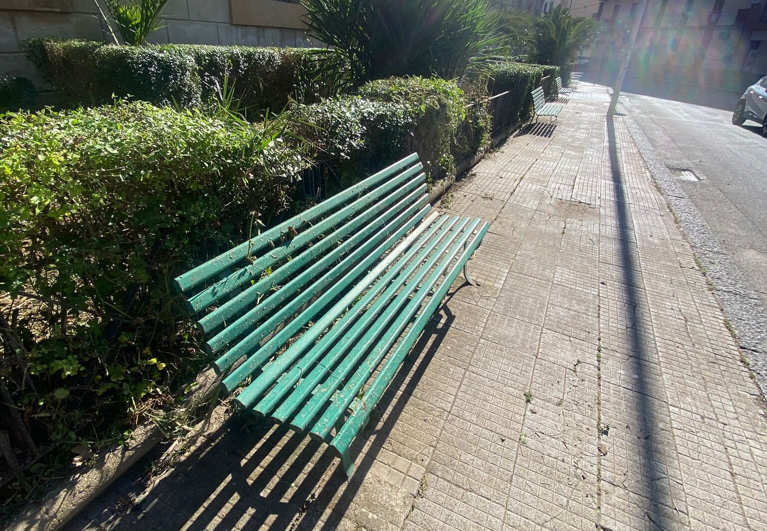 Caltanissetta, disponibili nuove opportunità di collaborazione per cittadini e aziende per la cura del verde pubblico