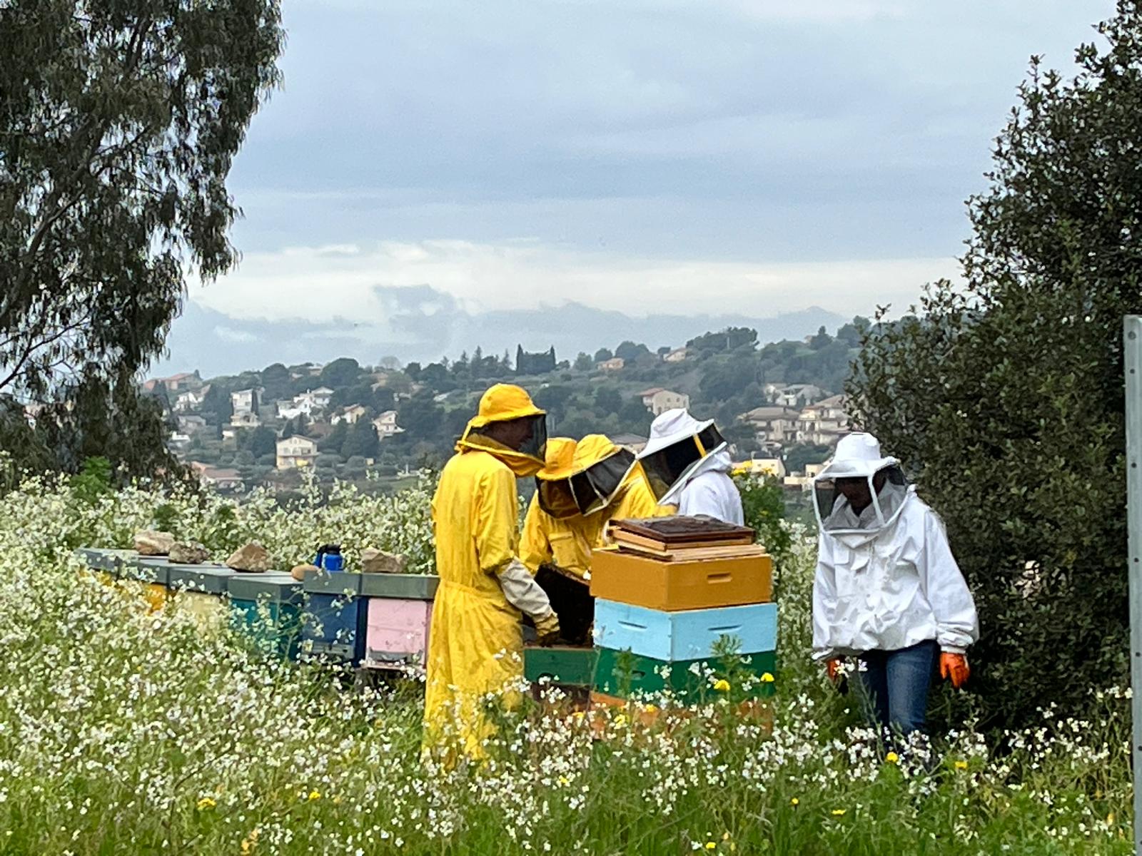 Caltanissetta. Il miele prodotto nell’Istituto Tecnico Agrario “Sen. Di Rocco”, un’eccellenza che affonda le radici nella passione