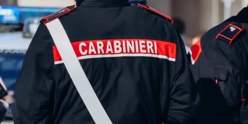 Caltanissetta, cani vivevano tra escrementi e fango accumulato: Carabinieri e WWF salvano 4 cuccioli