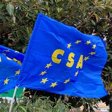 Lavoratori part-time, Csa-Cisal annuncia presidio all’Ars il 4 giugno: “Urgente il tempo pieno per evitare pensioni da fame”