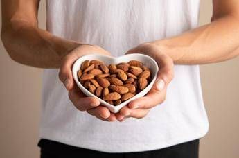 Alimentazione, esperto: “Mandorle e frutta a guscio migliorano salute cardiometabolica”