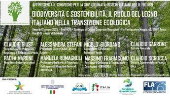 Il ruolo legno italiano in transizione ecologica, tavola rotonda con Afi e Assolegno