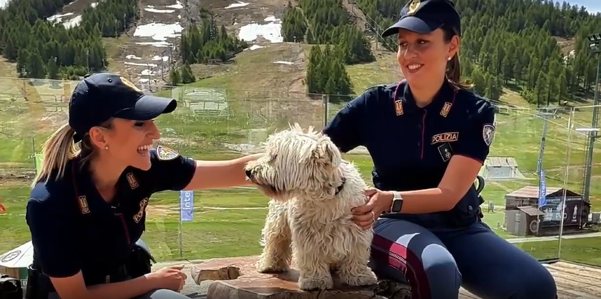 “Se non ti porto non parto”, è online il nuovo spot della Polizia di Stato contro l’abbandono degli animali
