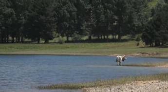 Turismo: filiere dop e natura, al via ventesima edizione ‘Fattorie aperte in Sila’