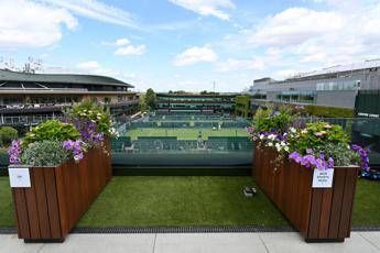 Wimbledon 2025 al via, il programma di oggi e dove vedere i match