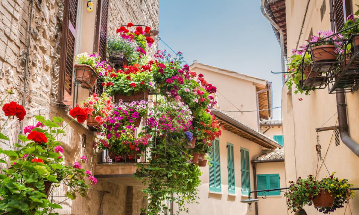 L’8 giugno prima edizione di “Campofranco in Fiore”, all’insegna della bellezza e dell’educazione ambientale