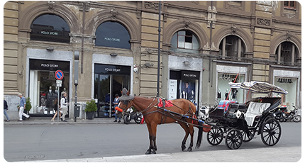 Caldo estremo: a Palermo stop per due giorni alla circolazione di carrozze trainate da cavalli