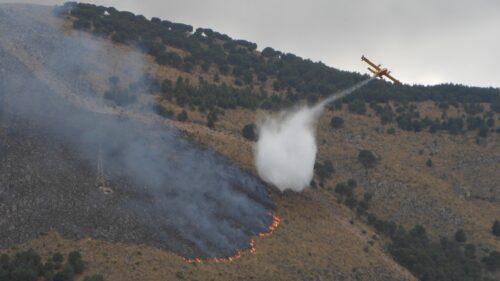 WWF: “la Sicilia brucia con la scusa del clima; è ora di agire prima che sia troppo tardi”