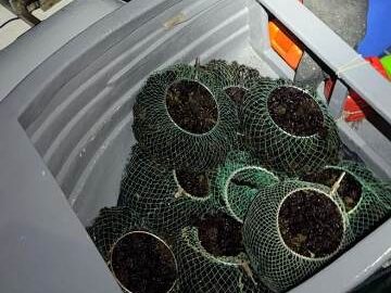 Sorpresi a pescare in area marina protetta a Ustica, denunciati