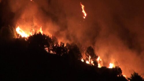 Sicilia in Fiamme. Codacons chiede alla presidente del Consiglio Giorgia Meloni il commissariamento dell’Isola per l’Emergenza ambientale