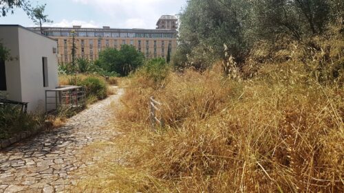 Caltanissetta. Dalla Fontana del Tritone all’area demaniale archeologica Palmintelli, le domande di Italia Nostra