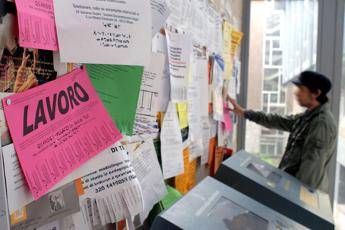 Assolavoro: “Agenzie per il lavoro partner strategici per istituti scolastici per percorsi orientamento”