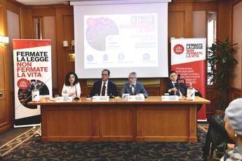 Fine vita, pro vita famiglia a centrodestra: “Basta inseguire diktat Corte Costituzionale”