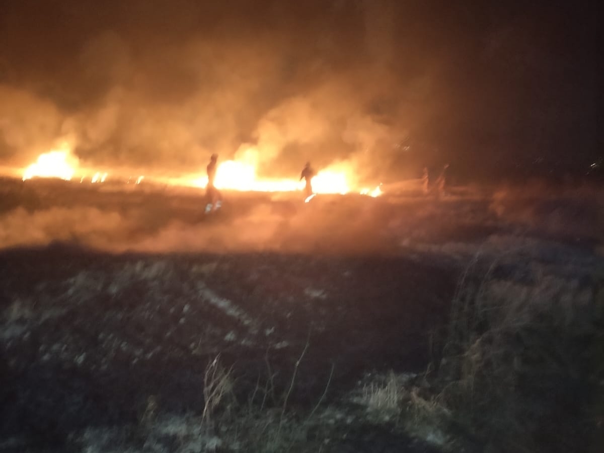 Brucia la campagna tra Giulfo e Favarella: in azione la Forestale per domare il rogo