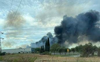 Incendio a Fiumicino, colonna di fumo nero alta chilometri visibile in tutta Roma Sud