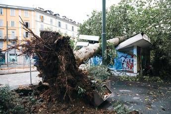 Maltempo, alberi caduti e allagamenti in Lombardia e Liguria