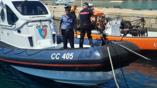 Tornano in mare le tartarughe salvate dai Carabinieri a Marettimo