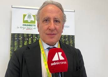 Tabacco, Lorito (Federico II): “La filiera integrata è la chiave per i territori, i giovani e il rilancio dell’agricoltura”