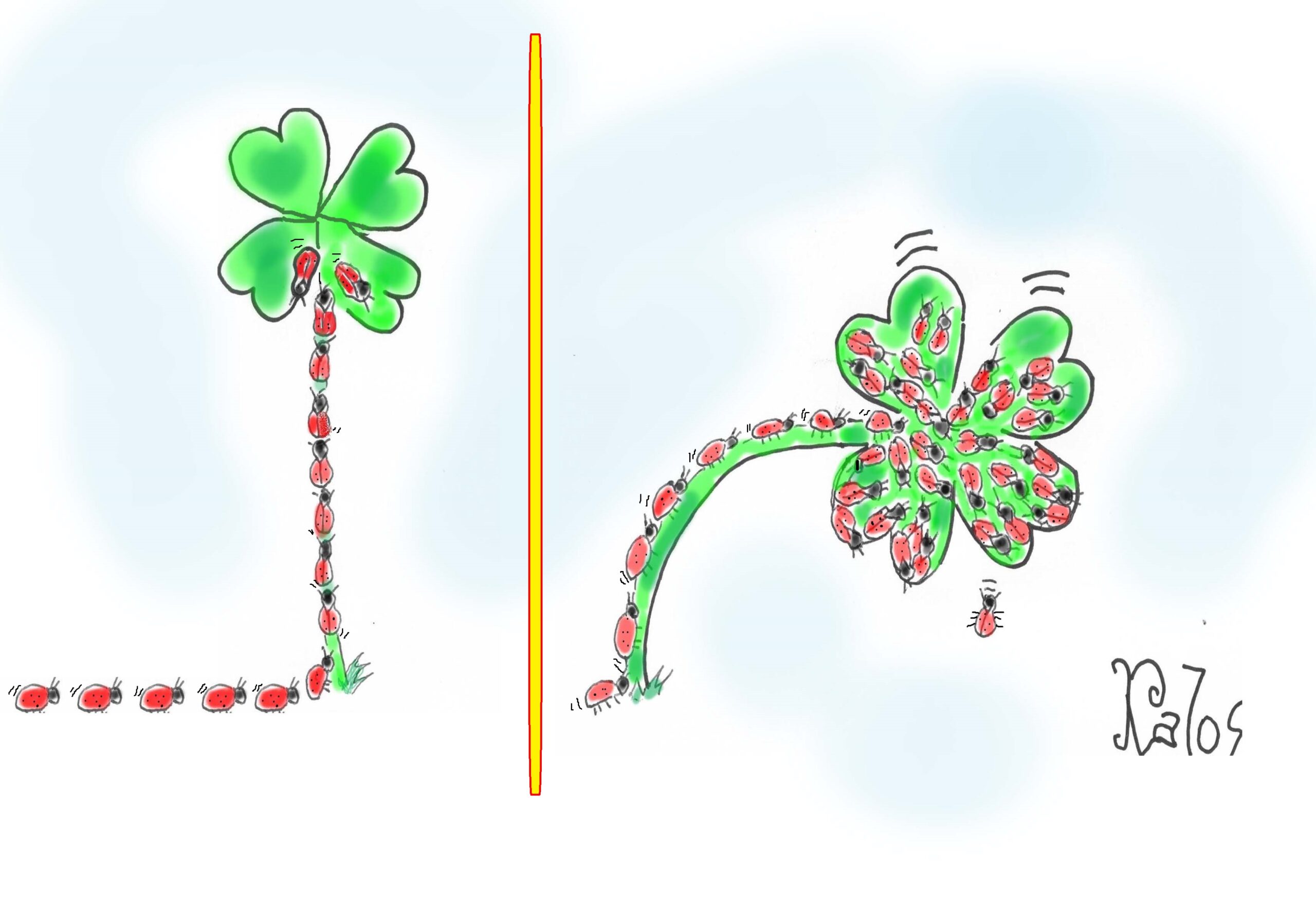 Invasione di coccinelle: portano ancora fortuna?