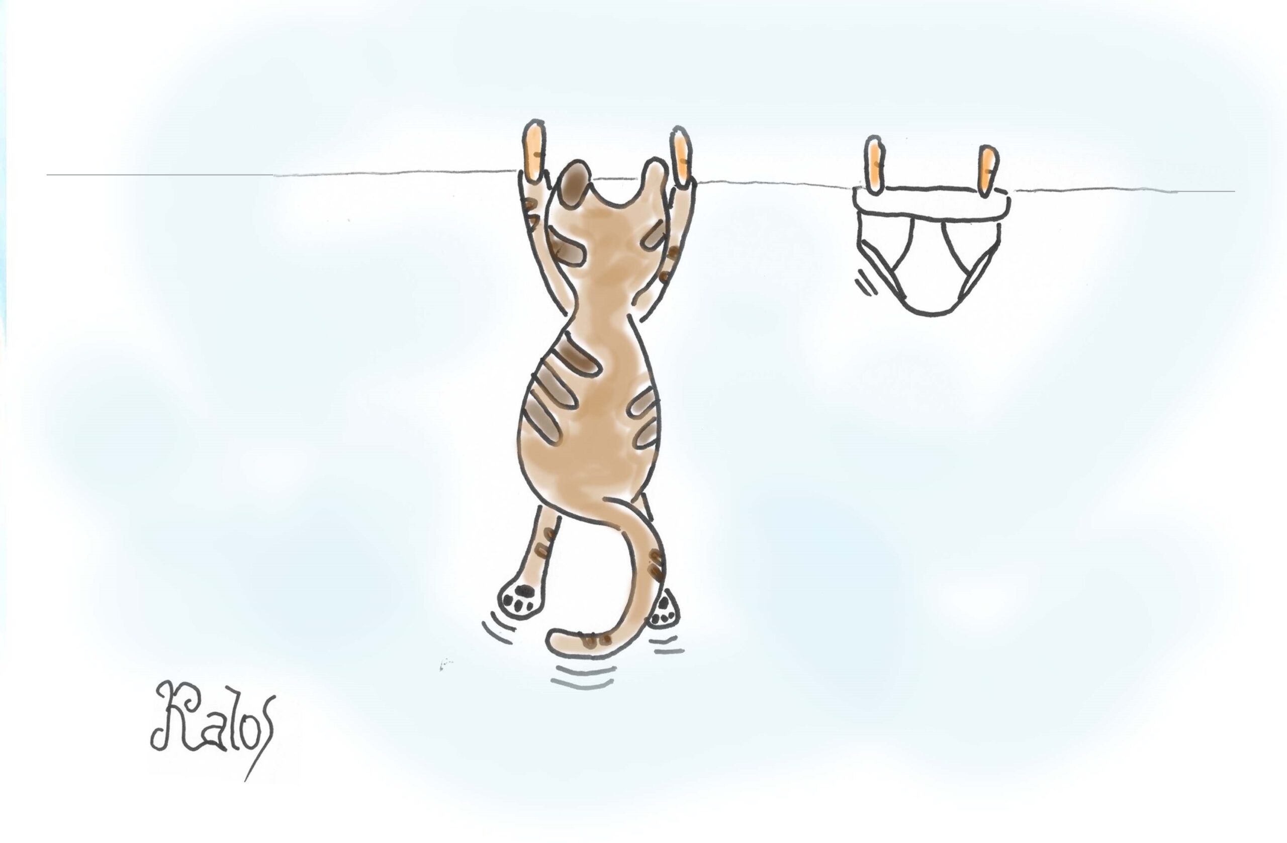 Un gattino è riuscito a sopravvivere a un ciclo in lavatrice.