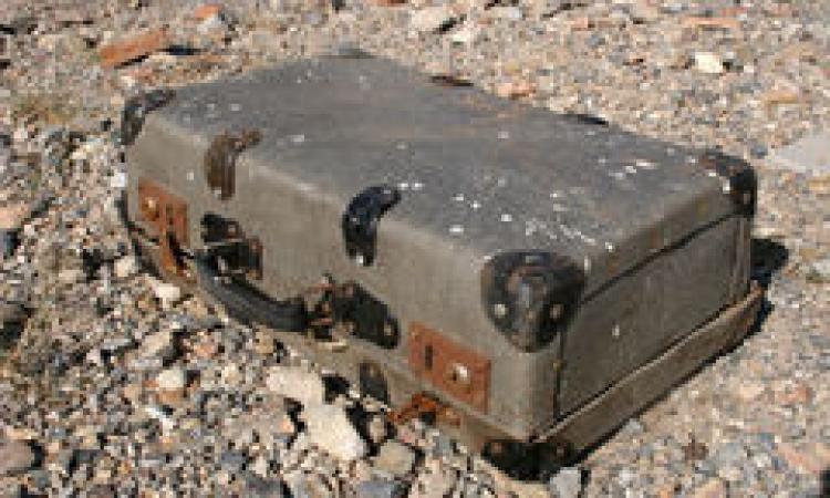 Messina, cane morto trovato dentro una valigia. Il sindaco: “Crudeltà inaccettabile”