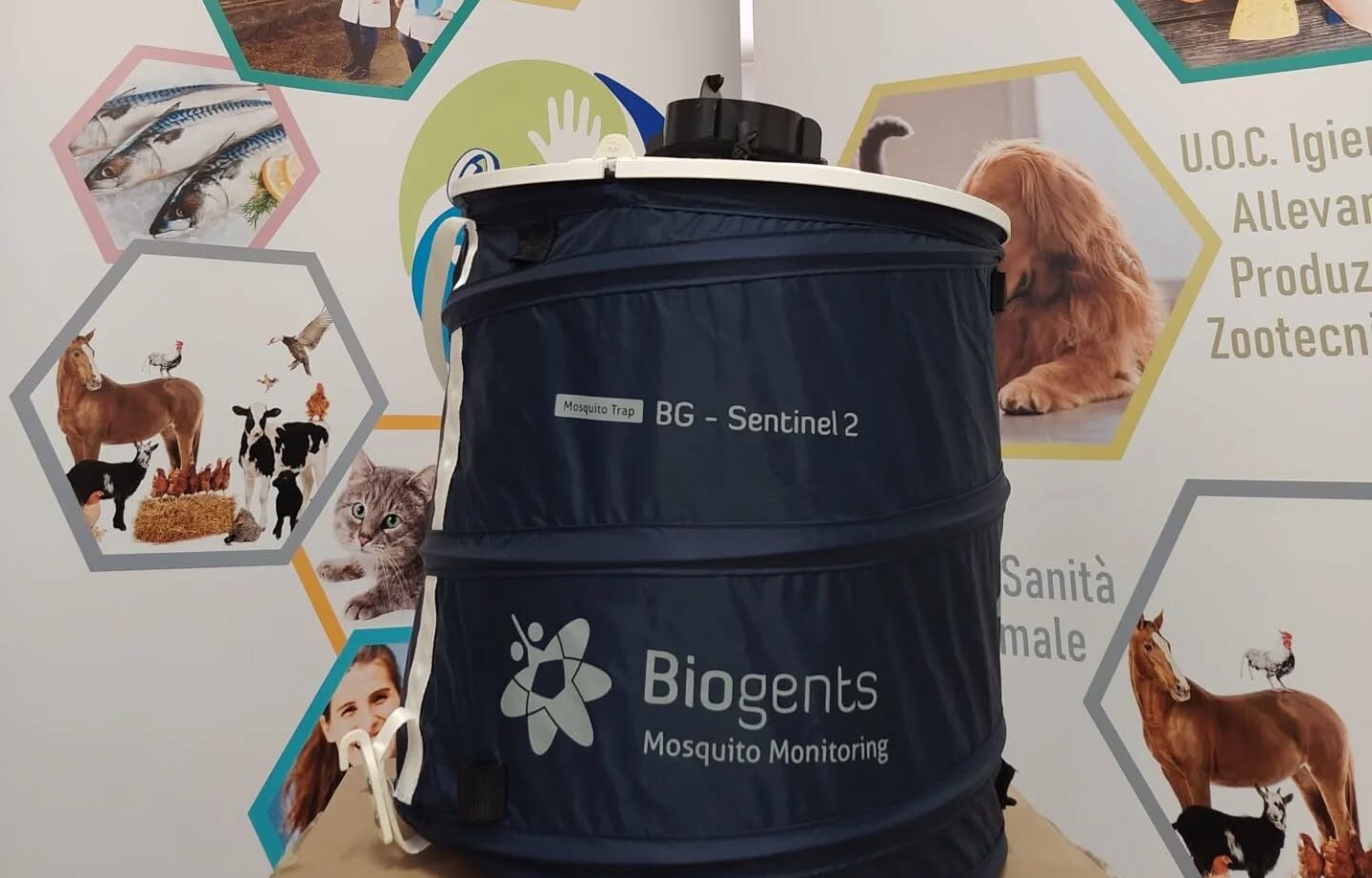 West Nile Virus, l’ASP di Trapani rafforza le misure preventive e di sorveglianza