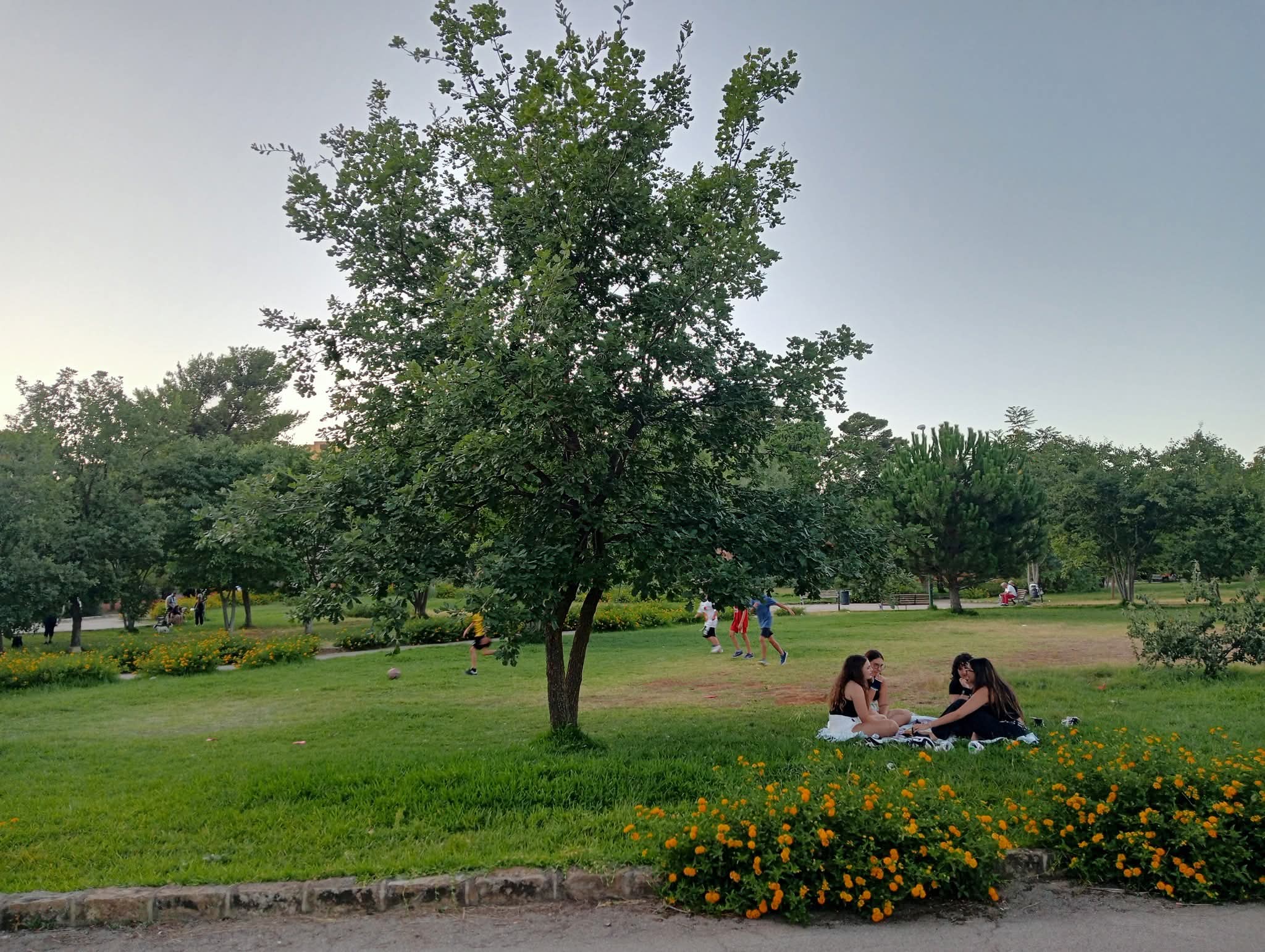 Caltanissetta, dal cuore di una cittadina, un messaggio chiaro: “Ridiamo dignità al Parco Dubini”