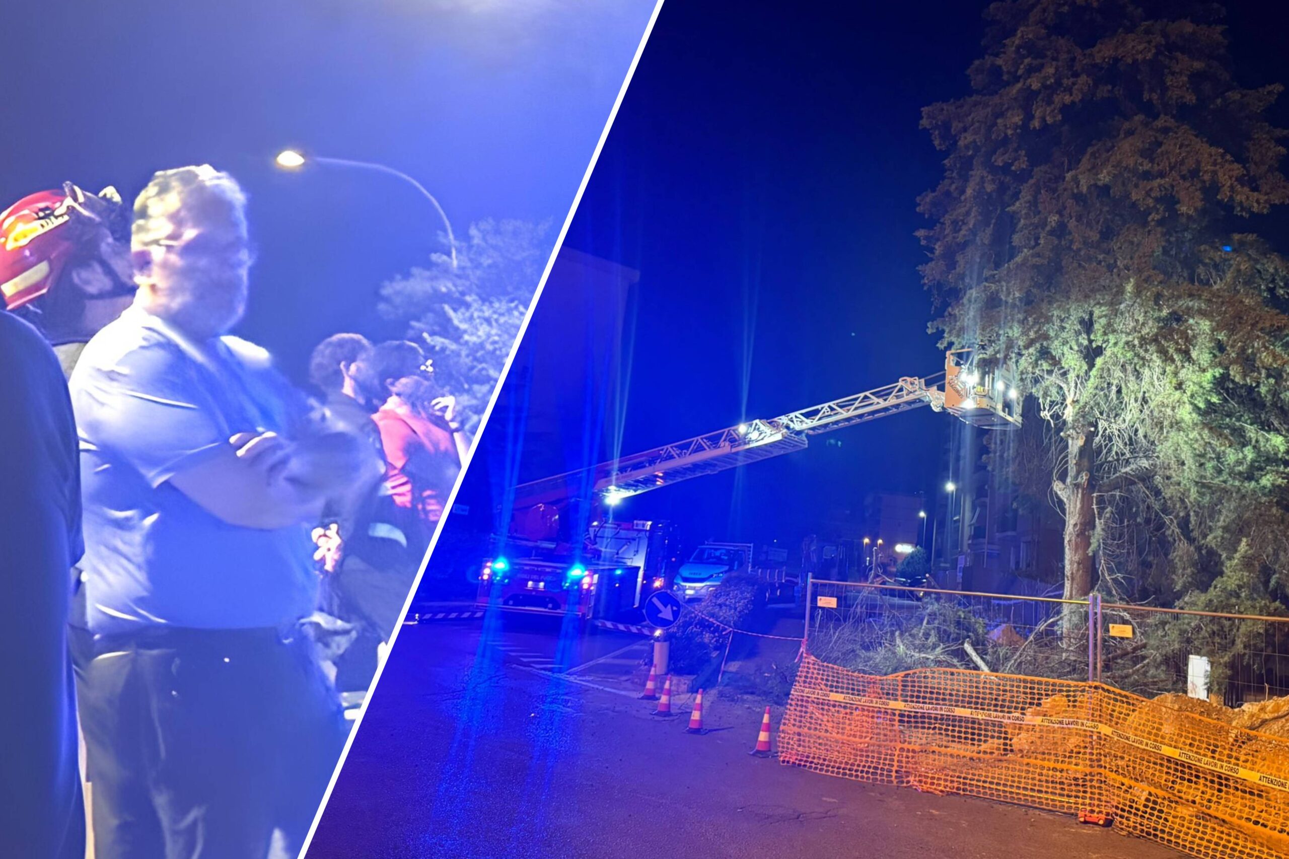 Caltanissetta, abbattuto un maestoso cipresso in via Filippo Turati per consentire lavori Enel. Di Dio: «Un sacrificio inevitabile»