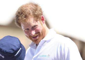 “Harry non avrebbe dovuto litigare in pubblico”, la critica dell’ente benefico fondato dal principe
