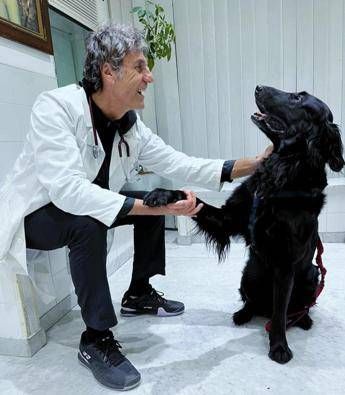 Nelle case degli italiani 8 milioni di cani, compagni ma anche un po’ medici