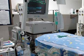 Neonati morti in ospedale a Bolzano, stop a detergente per i piatti: “E’ contaminato”