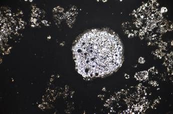 Svelata la vera età di Giove