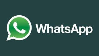 WhatsApp introduce le foto animate e accelera sull’IA