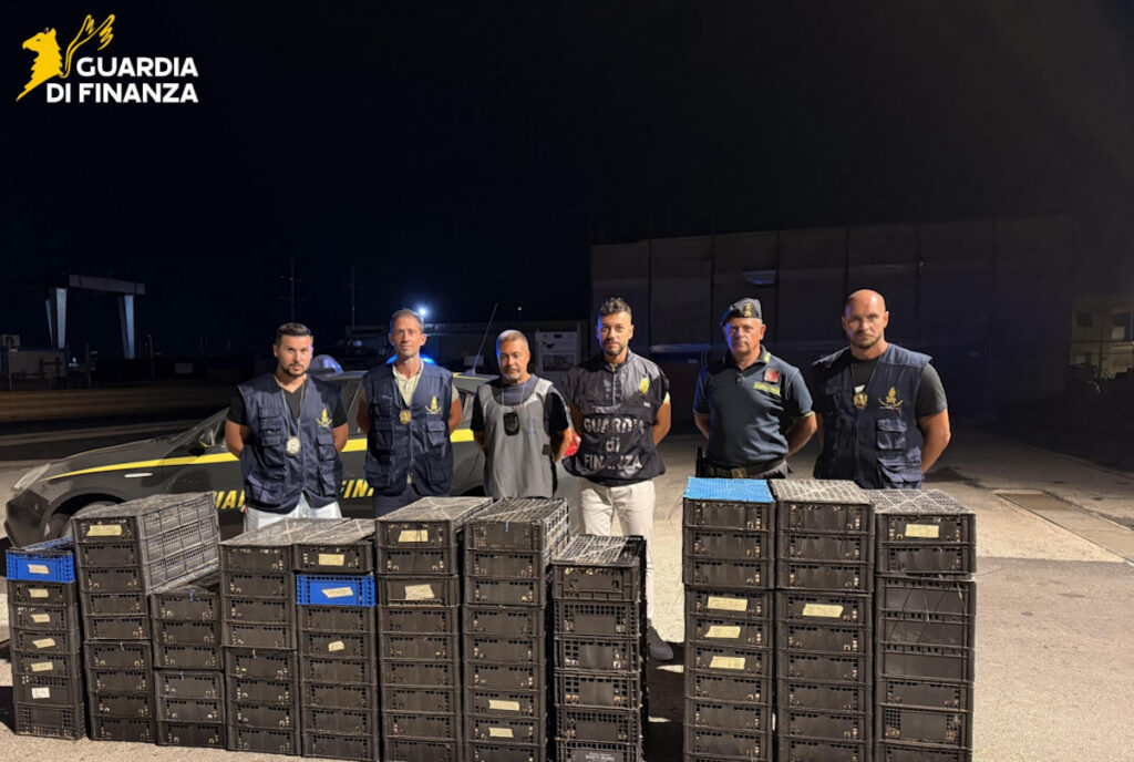 Guardia di Finanza sventa traffico illegale di specie di uccelli protetti a Pozzallo