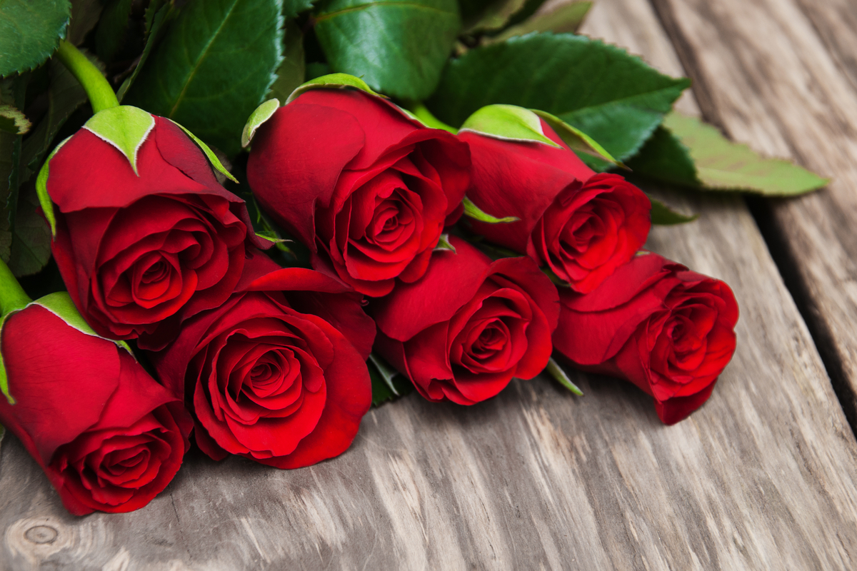 Rosario, il suo scooter e le sue rose: la città solidale che insegna a guardarsi dentro. Una precisazione